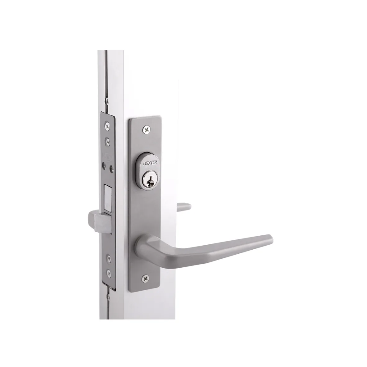 Cerradura para puerta de aluminio gris Dexter